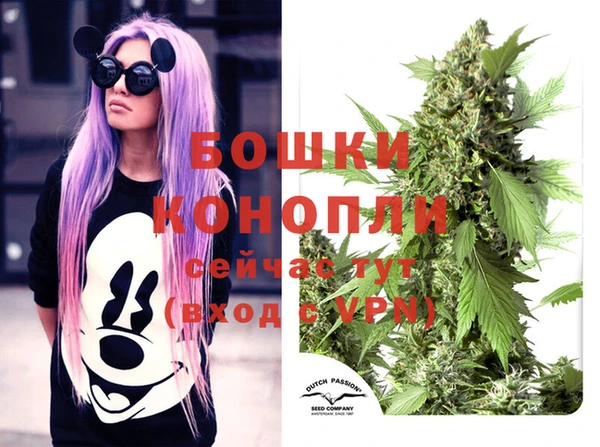 гашик Баксан