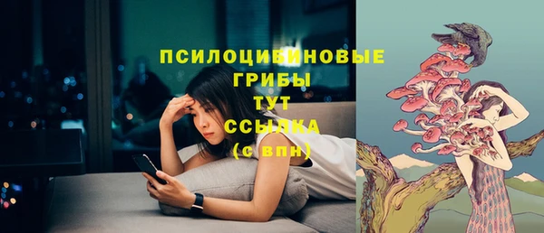 гашик Баксан