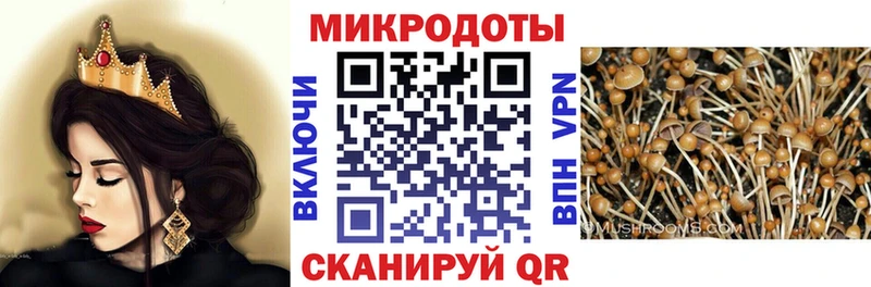 Галлюциногенные грибы Psilocybine cubensis  Купино 